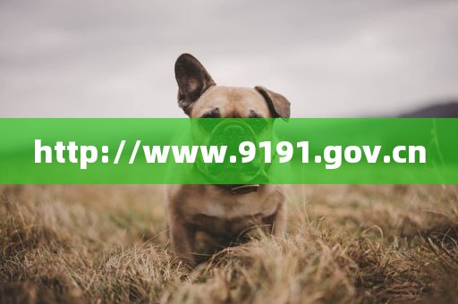 http://www.9191.gov.cn