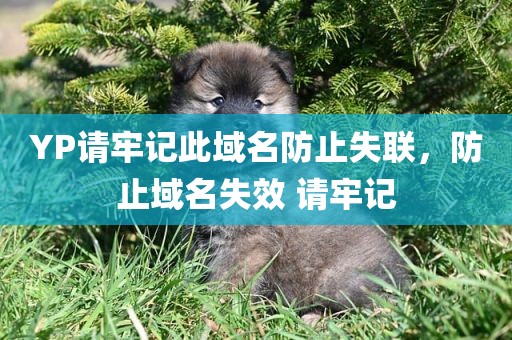 YP请牢记此域名防止失联，防止域名失效 请牢记