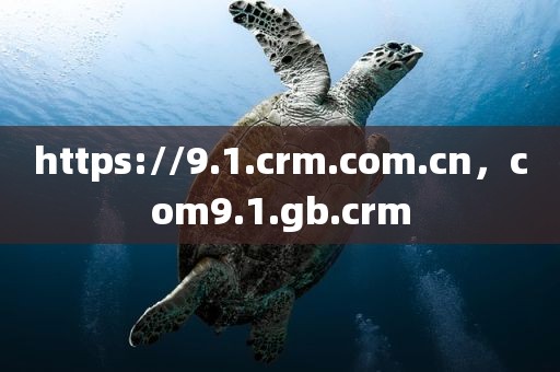 https://9.1.crm.com.cn，com9.1.gb.crm