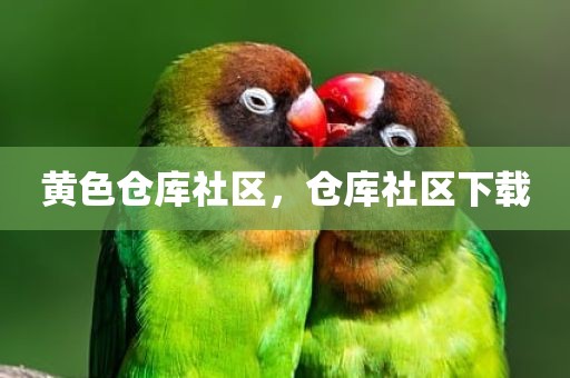 黄色仓库社区，仓库社区下载