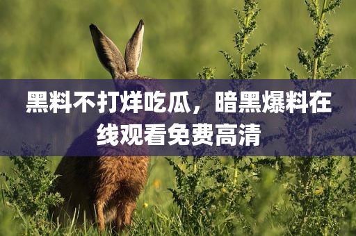 黑料不打烊吃瓜，暗黑爆料在线观看免费高清