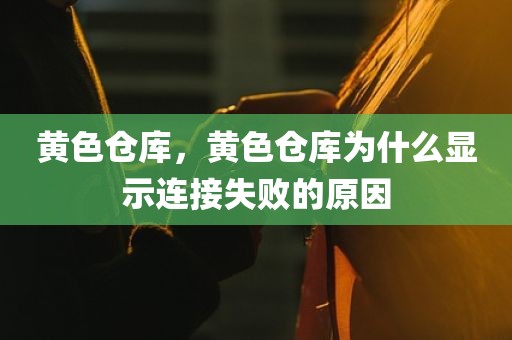 黄色仓库，黄色仓库为什么显示连接失败的原因