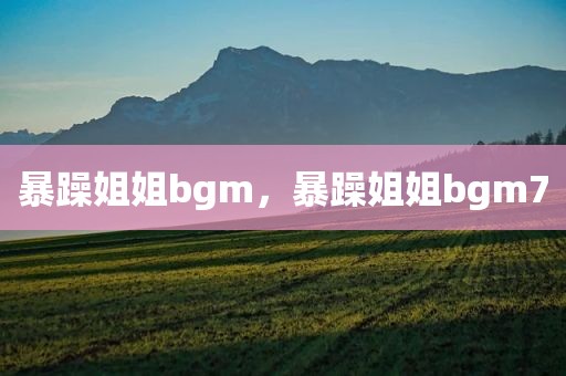 暴躁姐姐bgm，暴躁姐姐bgm7