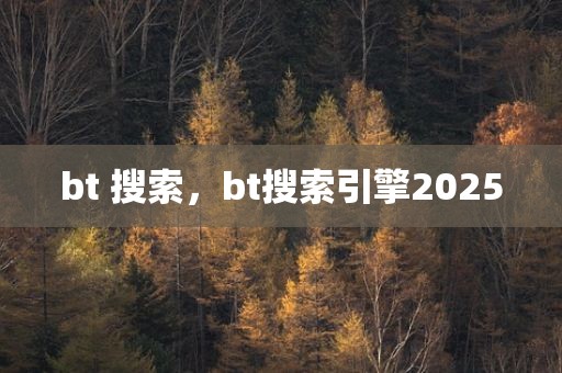 bt 搜索，bt搜索引擎2025