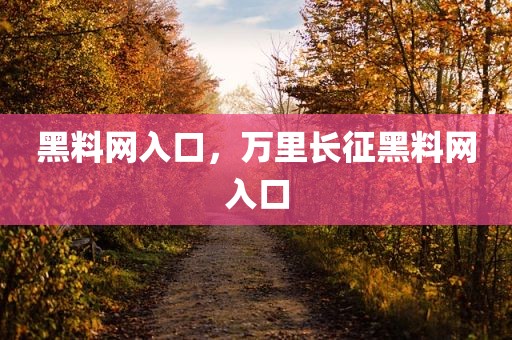 黑料网入口，万里长征黑料网入口