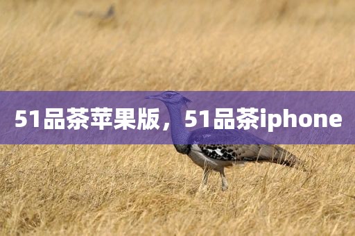 51品茶苹果版，51品茶iphone