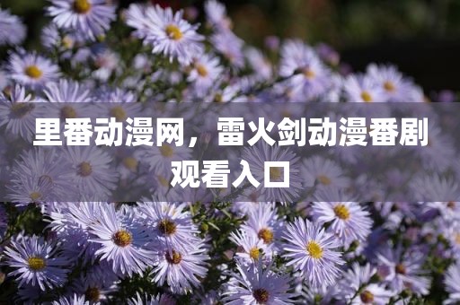 里番动漫网，雷火剑动漫番剧观看入口