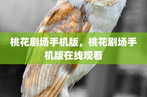 桃花剧场手机版，桃花剧场手机版在线观看