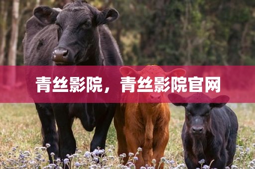 青丝影院，青丝影院官网