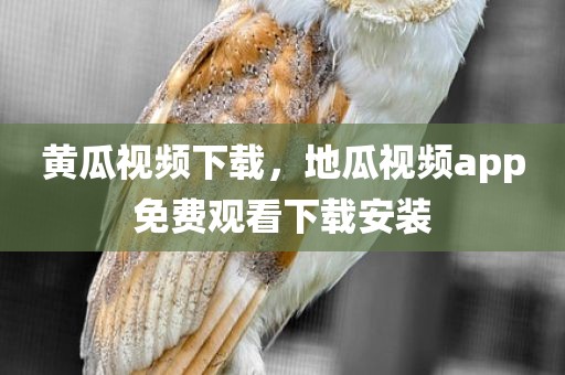 黄瓜视频下载，地瓜视频app免费观看下载安装
