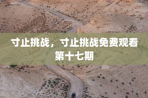寸止挑战，寸止挑战免费观看第十七期