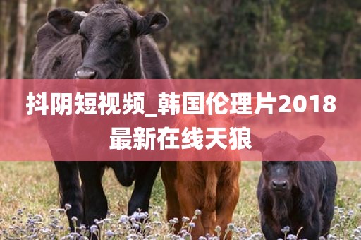 抖阴短视频_韩国伦理片2018最新在线天狼