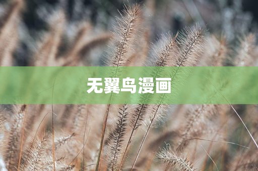 无翼鸟漫画