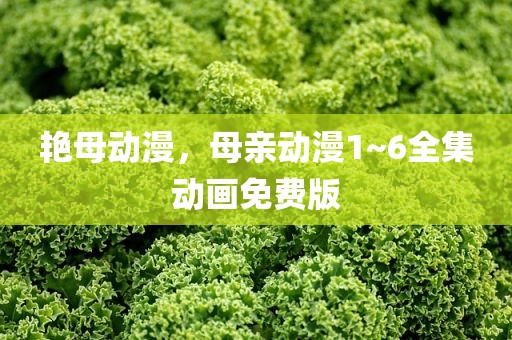 艳母动漫，母亲动漫1~6全集动画免费版