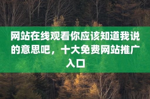 网站在线观看你应该知道我说的意思吧，十大免费网站推广入口