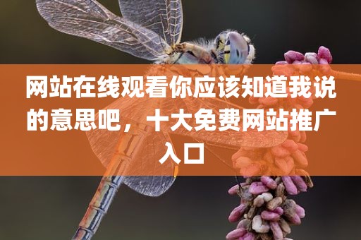 网站在线观看你应该知道我说的意思吧，十大免费网站推广入口
