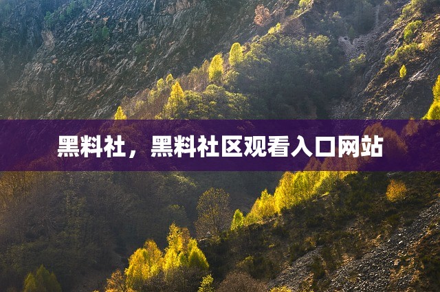 黑料社，黑料社区观看入口网站