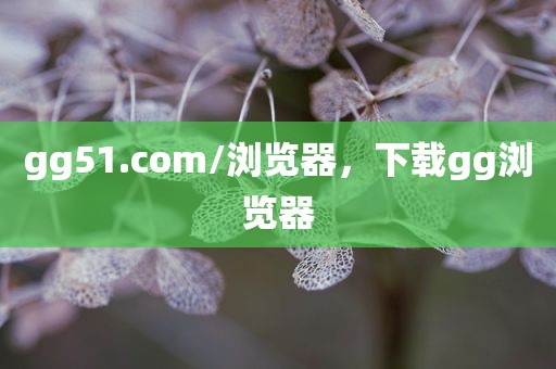 gg51.com/浏览器，下载gg浏览器