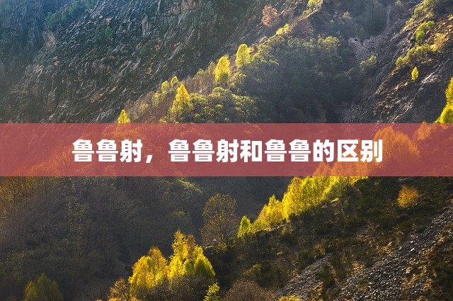 鲁鲁射，鲁鲁射和鲁鲁的区别