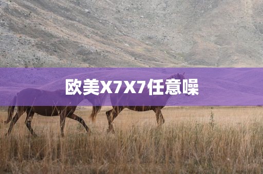 欧美X7X7任意噪