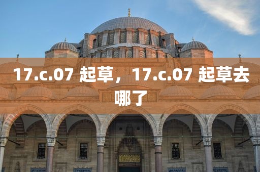 17.c.07 起草，17.c.07 起草去哪了