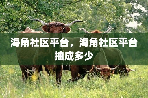 海角社区平台，海角社区平台抽成多少