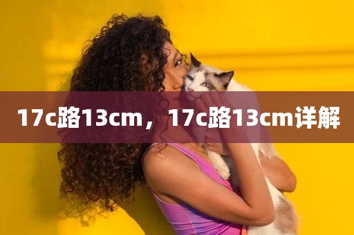 17c路13cm，17c路13cm详解