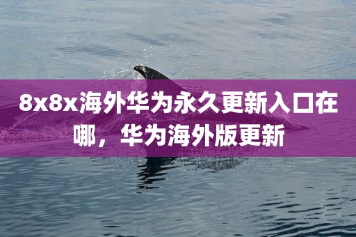 8x8x海外华为永久更新入口在哪，华为海外版更新