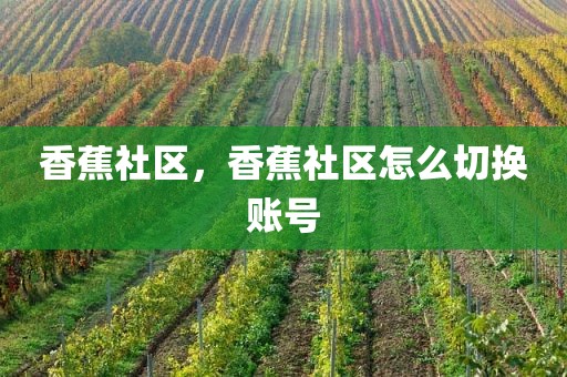 香蕉社区，香蕉社区怎么切换账号