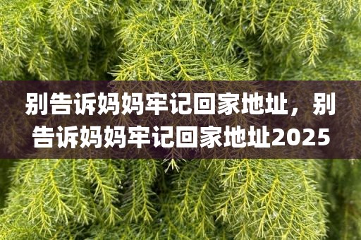 别告诉妈妈牢记回家地址，别告诉妈妈牢记回家地址2025