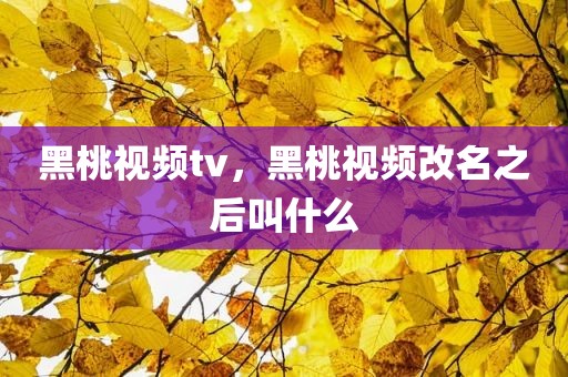 黑桃视频tv，黑桃视频改名之后叫什么