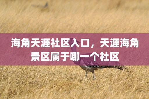 海角天涯社区入口，天涯海角景区属于哪一个社区