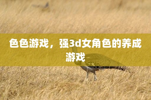 色色游戏，强3d女角色的养成游戏