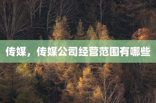 传媒，传媒公司经营范围有哪些