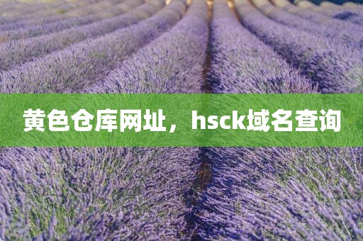 黄色仓库网址，hsck域名查询