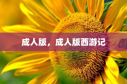 成人版，成人版西游记