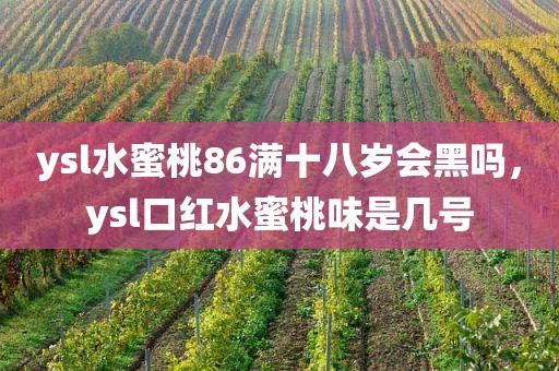 ysl水蜜桃86满十八岁会黑吗，ysl口红水蜜桃味是几号