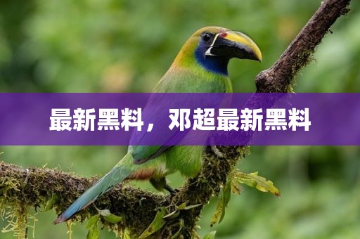 最新黑料，邓超最新黑料