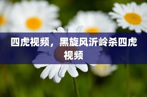 四虎视频，黑旋风沂岭杀四虎视频
