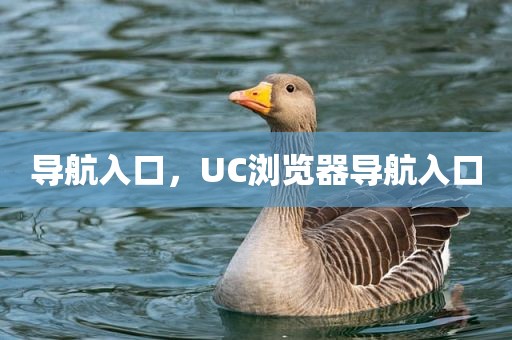 导航入口，UC浏览器导航入口