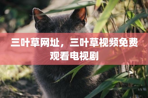 三叶草网址，三叶草视频免费观看电视剧