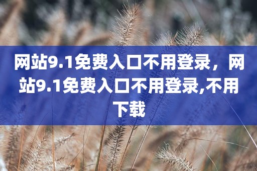 网站9.1免费入口不用登录，网站9.1免费入口不用登录,不用下载