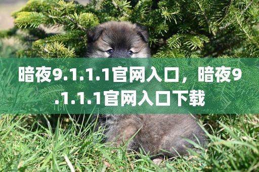 暗夜9.1.1.1官网入口，暗夜9.1.1.1官网入口下载
