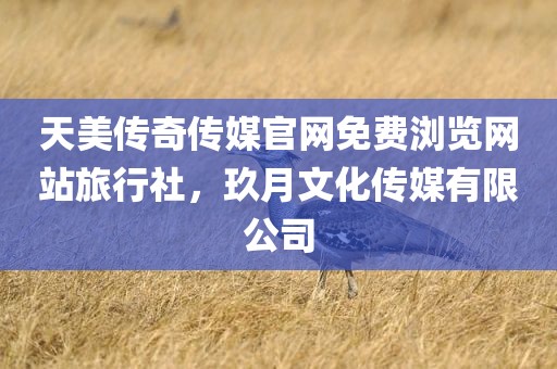 天美传奇传媒官网免费浏览网站旅行社，玖月文化传媒有限公司