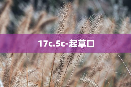 17c.5c-起草口