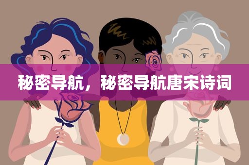 秘密导航，秘密导航唐宋诗词