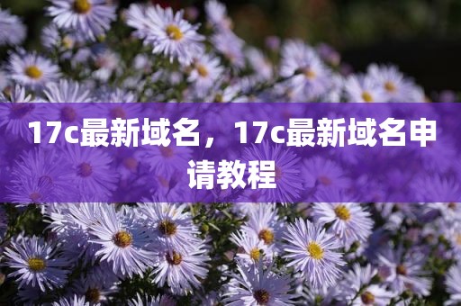 17c最新域名，17c最新域名申请教程