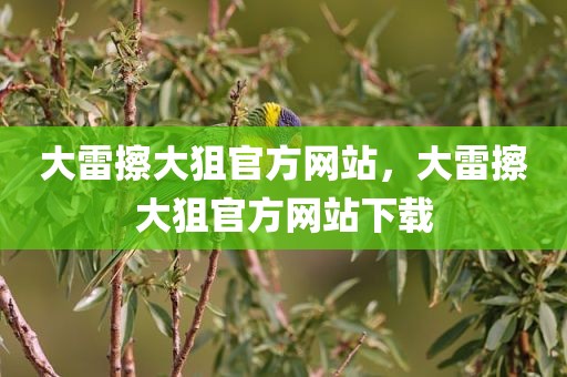 大雷擦大狙官方网站，大雷擦大狙官方网站下载