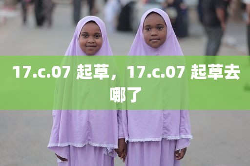 17.c.07 起草，17.c.07 起草去哪了