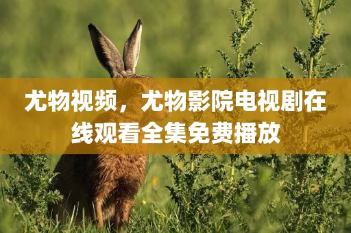 尤物视频，尤物影院电视剧在线观看全集免费播放